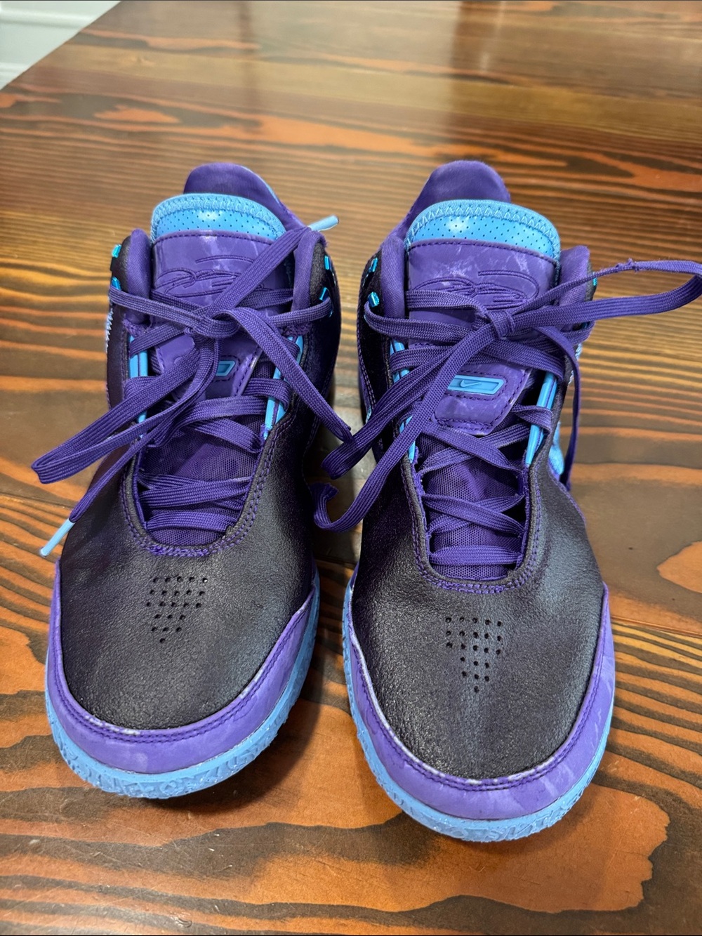 Zoom LeBron NXXT Gen AMPD "Summit Lake Hornets" FJ1566 500 by Nike